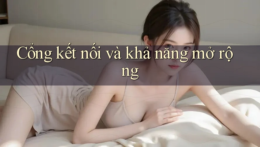 Cổng kết nối và khả năng mở rộng Cổng kết nối và khả năng mở rộng