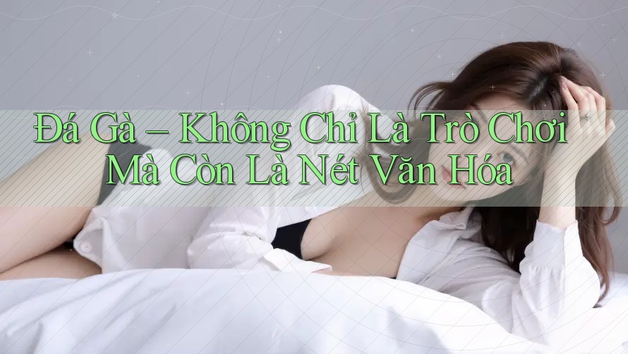 Đá Gà – Không Chỉ Là Trò Chơi Mà Còn Là Nét Văn Hóa